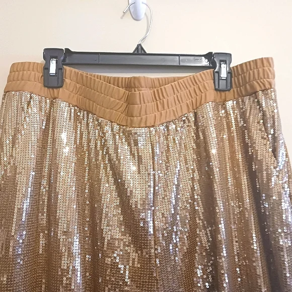 Shavonne Dorsey Gold Sequin  Leisure Suit - Picture 8 of 11